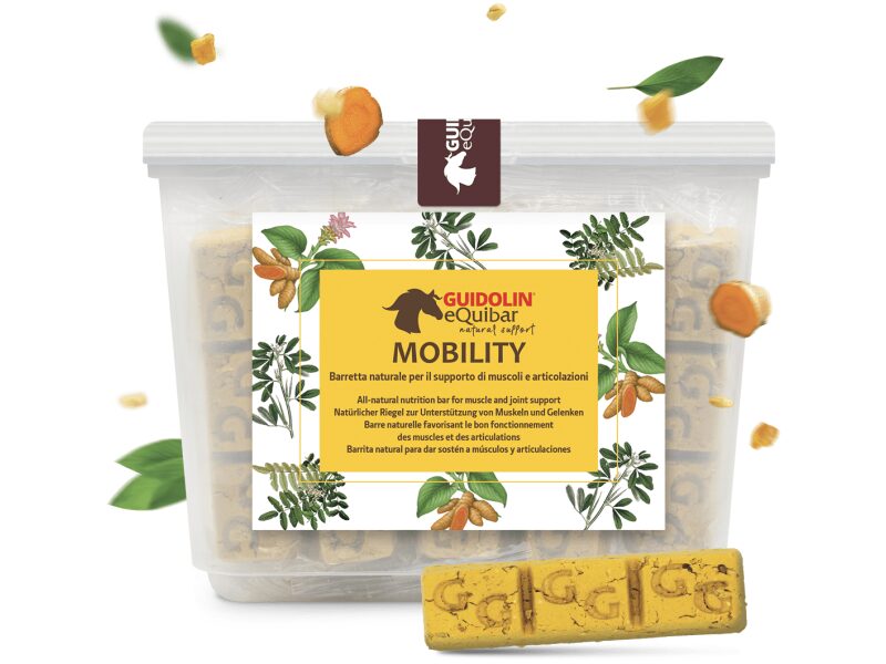 Guidolin Equibar Mobility 700 g