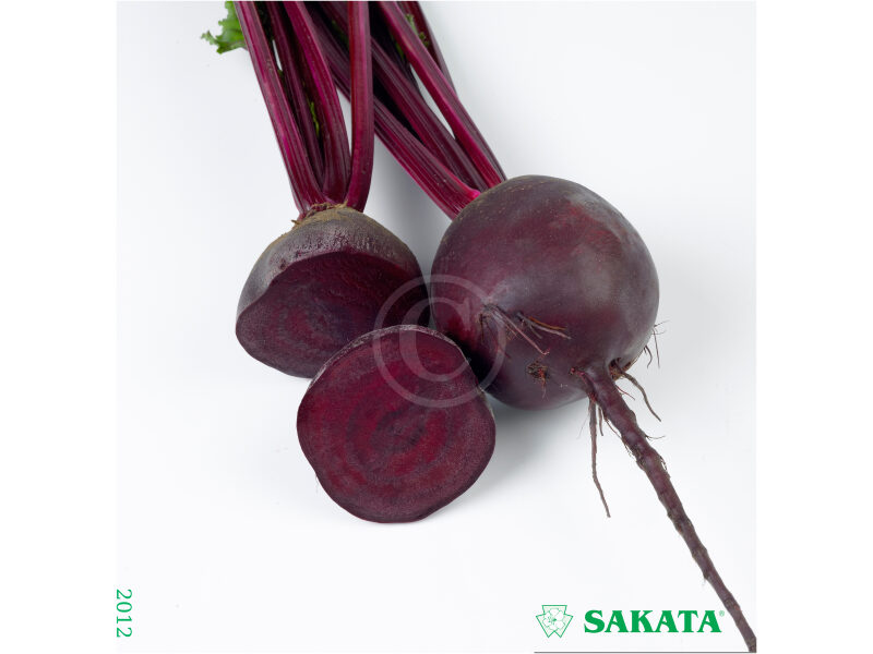 Peet Red Hawk 10 000 s