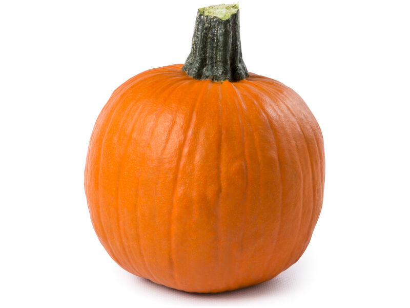 Kõrvits Spyros 500 s