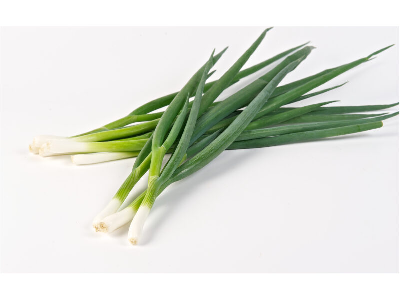 Roheline Sibul Yoda 100 000 s