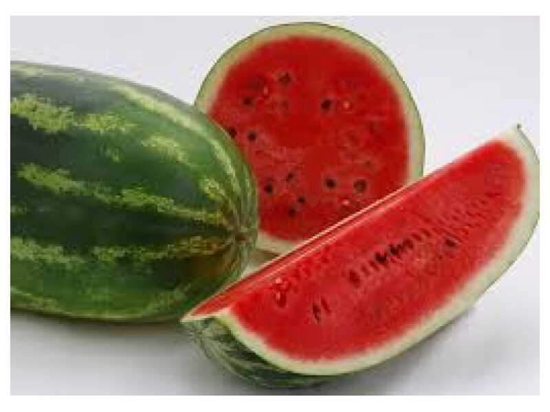 Arbuus Daytona 500 s