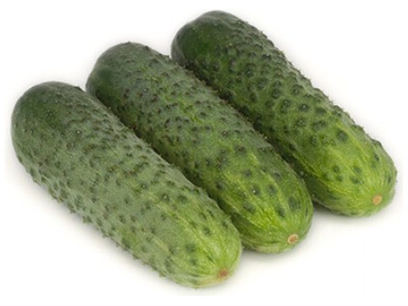 Lühike kurk ´Karaoke´