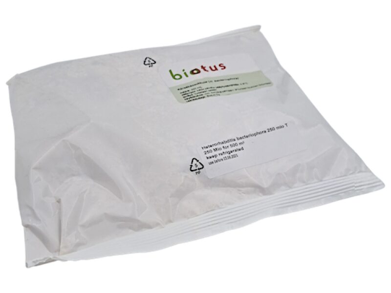 H. bacteriophora 250 milj maipõrnika ja kõrvkärsakate vastsete tõrjeks