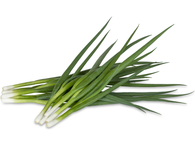 Roheline Sibul Buzi 100 000 s