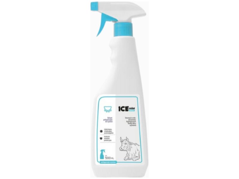 Ice Mint Spray 500 ml