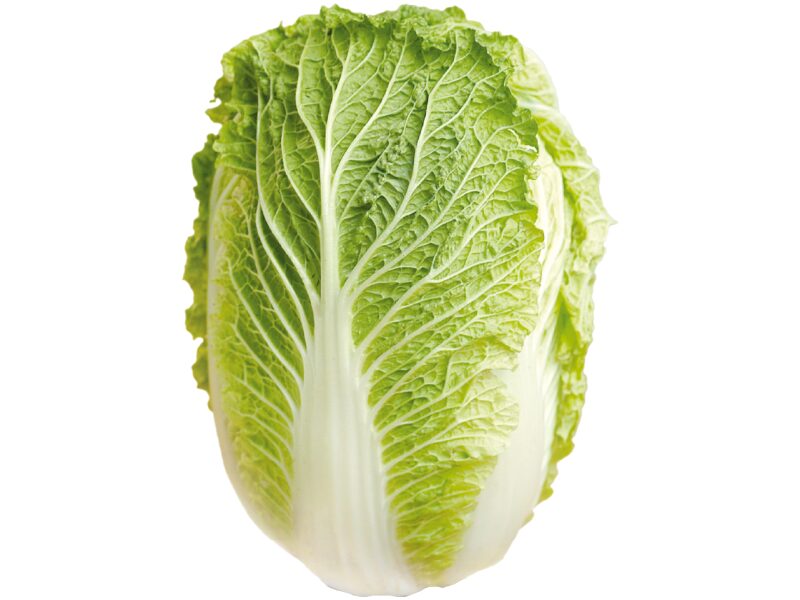 Hiina kapsas ´Richi´