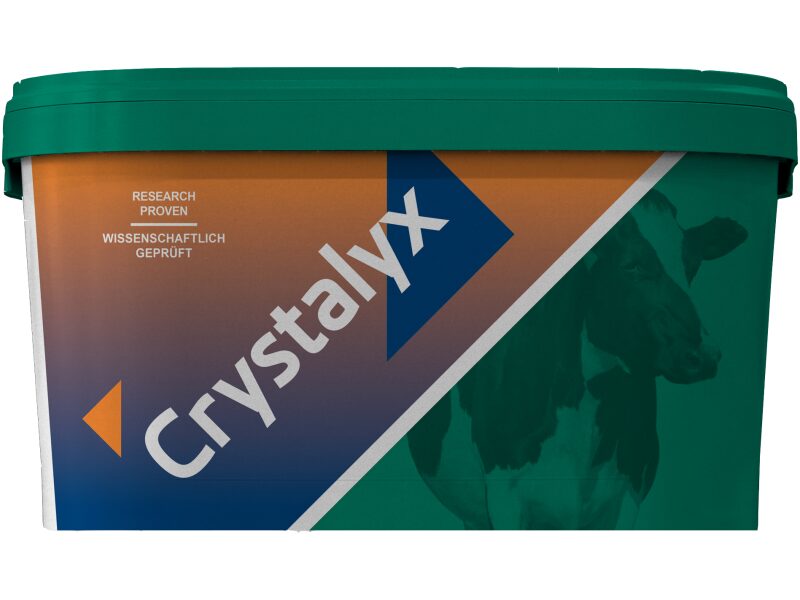 Crystalyx Cattle High Mag 22,5 kg