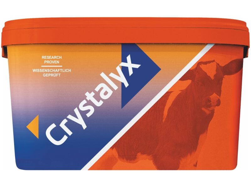 Crystalyx Mentholyx 22,5kg