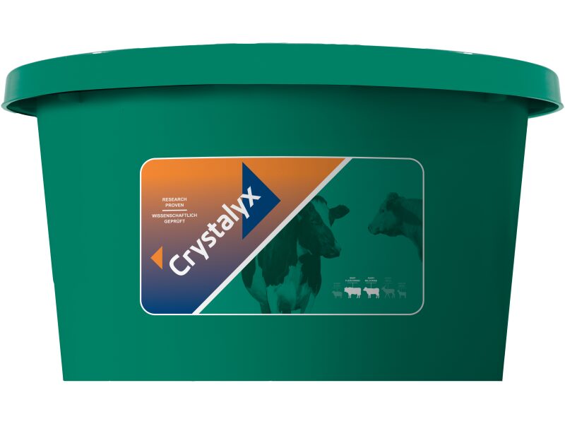 Crystalyx Cattle High Mag 80 kg