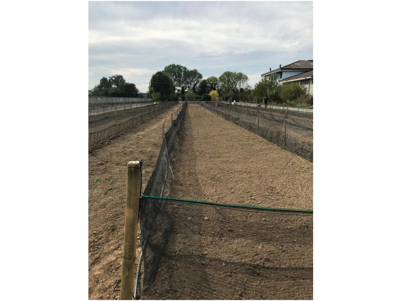 Tigudevõrk ELIX-NET EASY