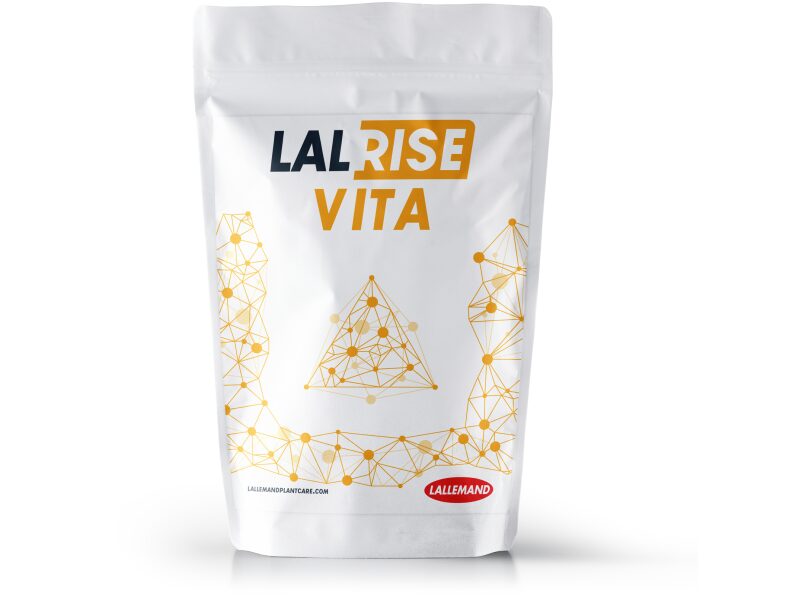 Lalrise Vita 1 kg