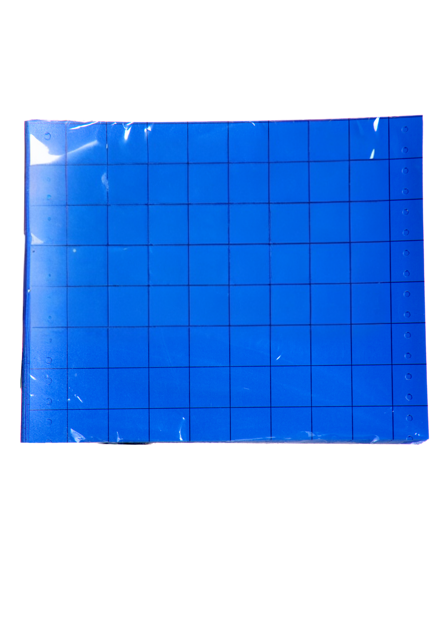 Sinine 1-poolne liimpüünis 20x40 cm 20 tk
