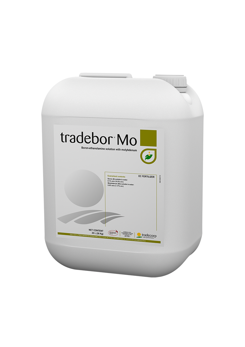 Tradebor Mo 20 l