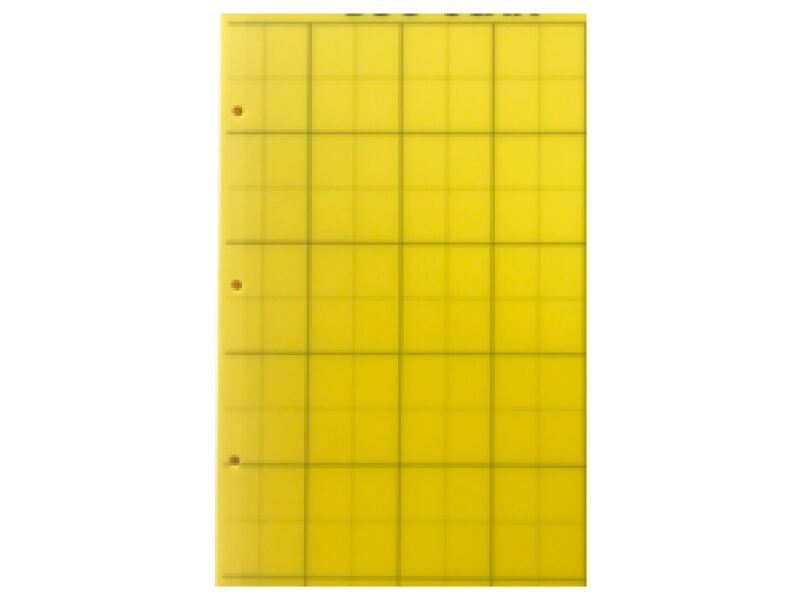 Liimpüünis kollane 2-poolne 25x40 cm 10 tk