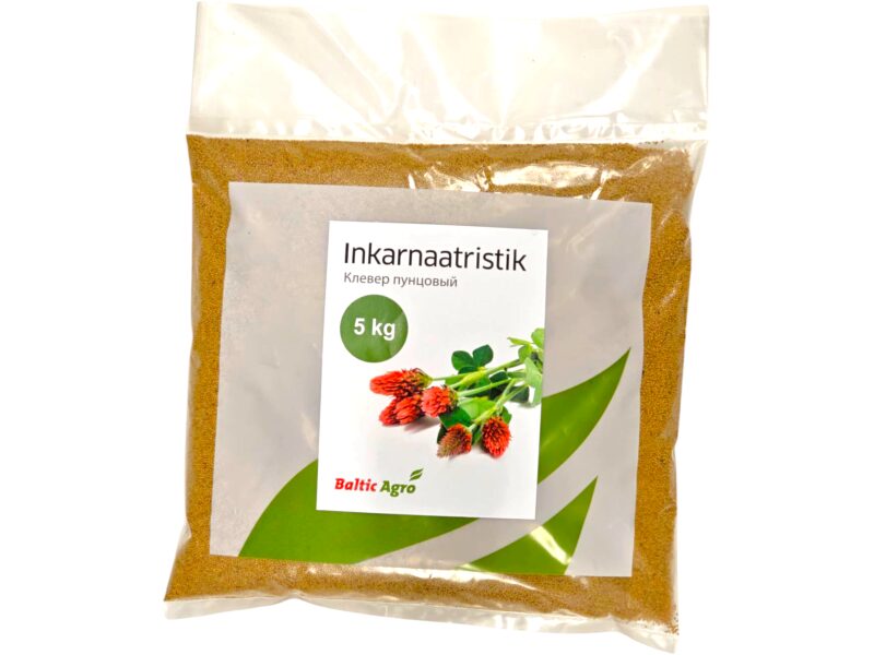 Inkarnaatristik