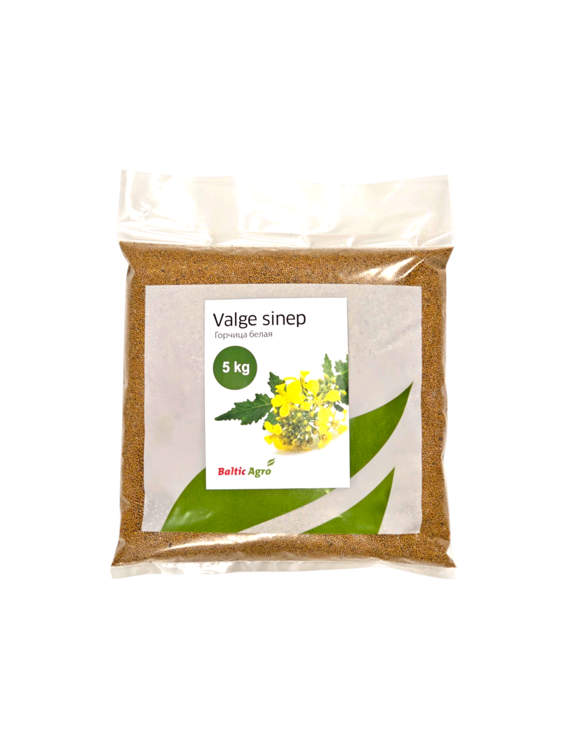 Valge sinep