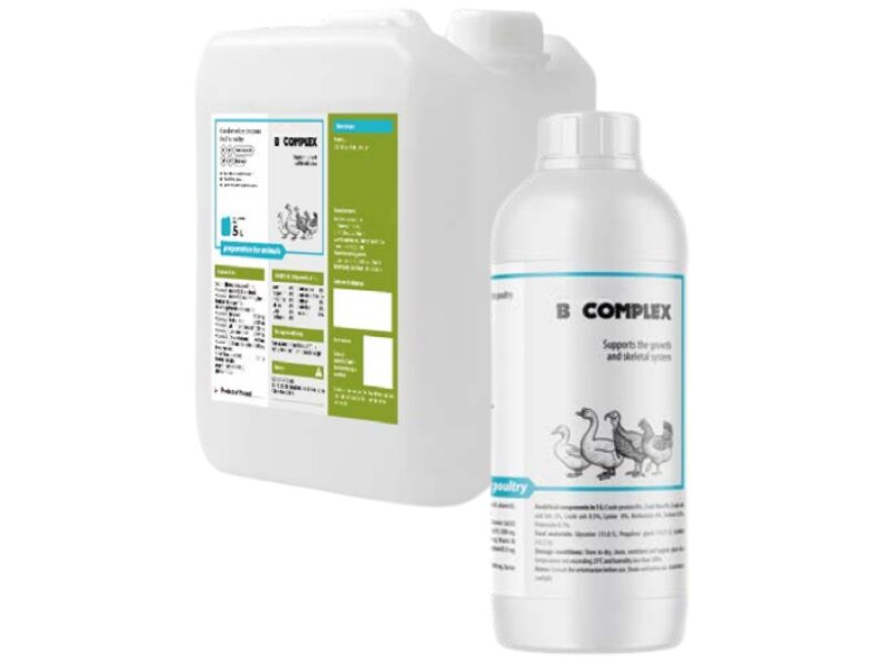 B Complex 1 l