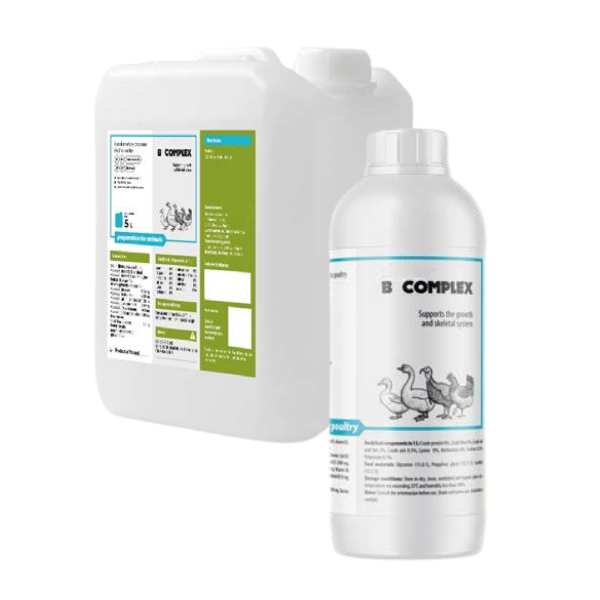 B Complex 1 l