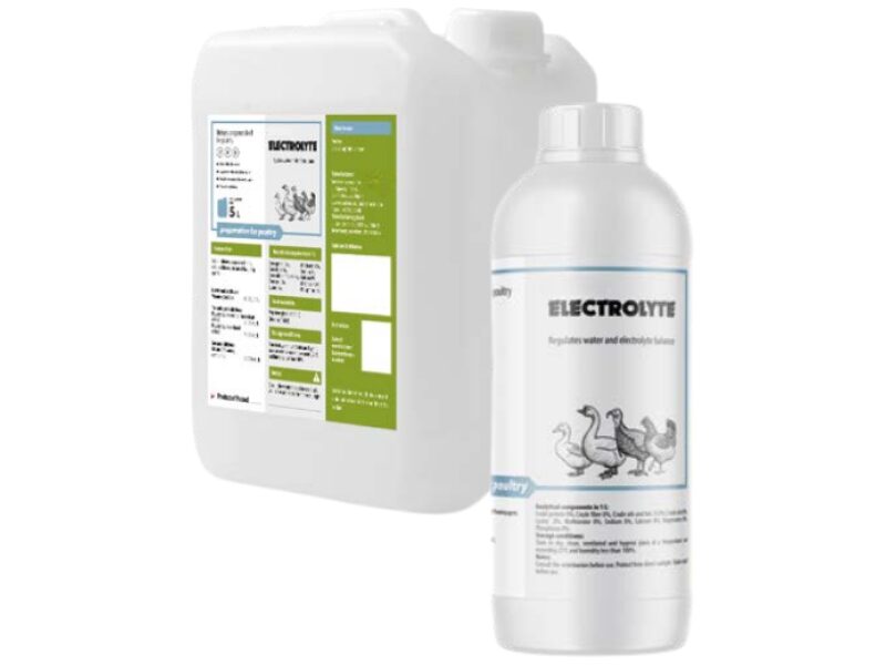 Electrolyte 1 l