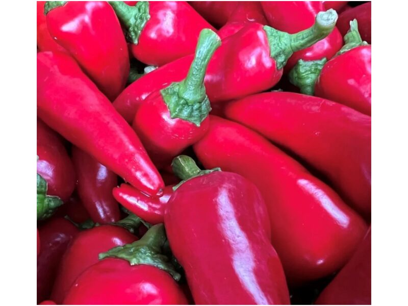 Paprika Frenso Red TP5905 100 s