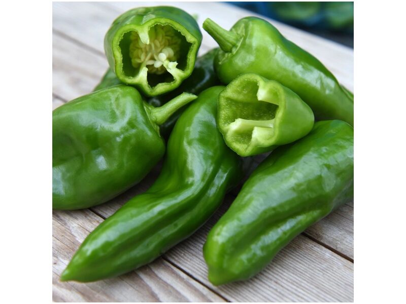 Paprika Padron 100 s