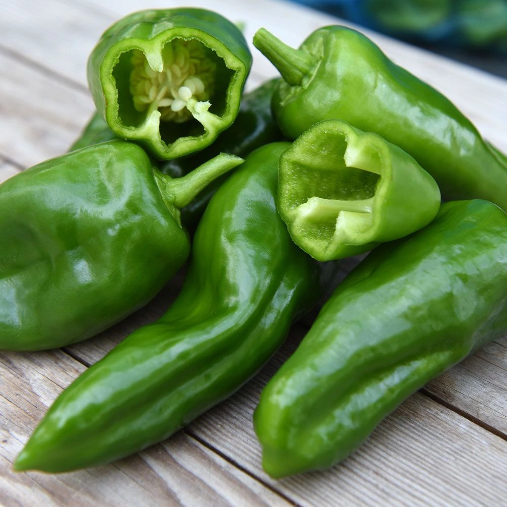 Paprika Padron 100 s